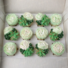Decorated Cupcakes – Themed & Color-Matched Designs (12 Count)