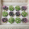 Decorated Cupcakes – Themed & Color-Matched Designs (12 Count)